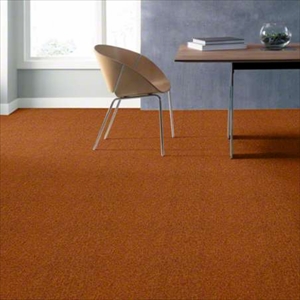 Multiplicity Tile